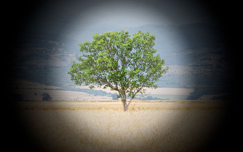 Cirurgia de Glaucoma - Antes | NeoOftalmo