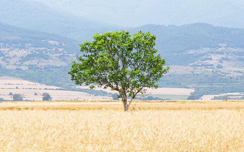 Cirurgia de Glaucoma - Depois | NeoOftalmo